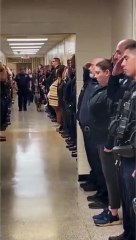 candy pastor alemão