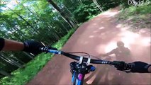 Un cycliste en VTT croise la route d'un ours en pleine descente