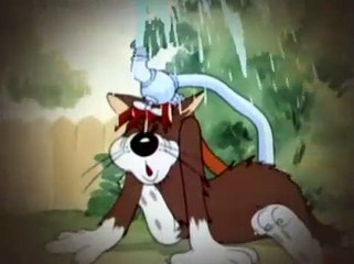 Tom and Jerry E09 Sufferin' Cats!