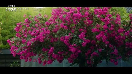 [열녀박씨 계약결혼뎐 2차 티저] 긴 시간을 거슬러 운명처럼 맺어진 인연 ＜열녀박씨 계약결혼뎐＞ 2차 티저ㅣ2023년 11월 첫 방송, MBC 202311 방송