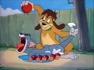 Tom and Jerry, 35 Episode   The Truce Hurts 1948 (2)