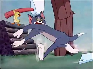 Tom and Jerry, 47 Episode Little Quacker (1950)