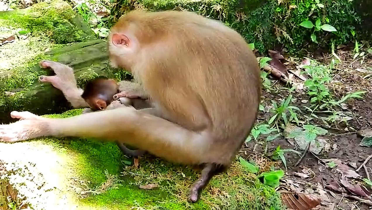 Newborn got warning beat by mom