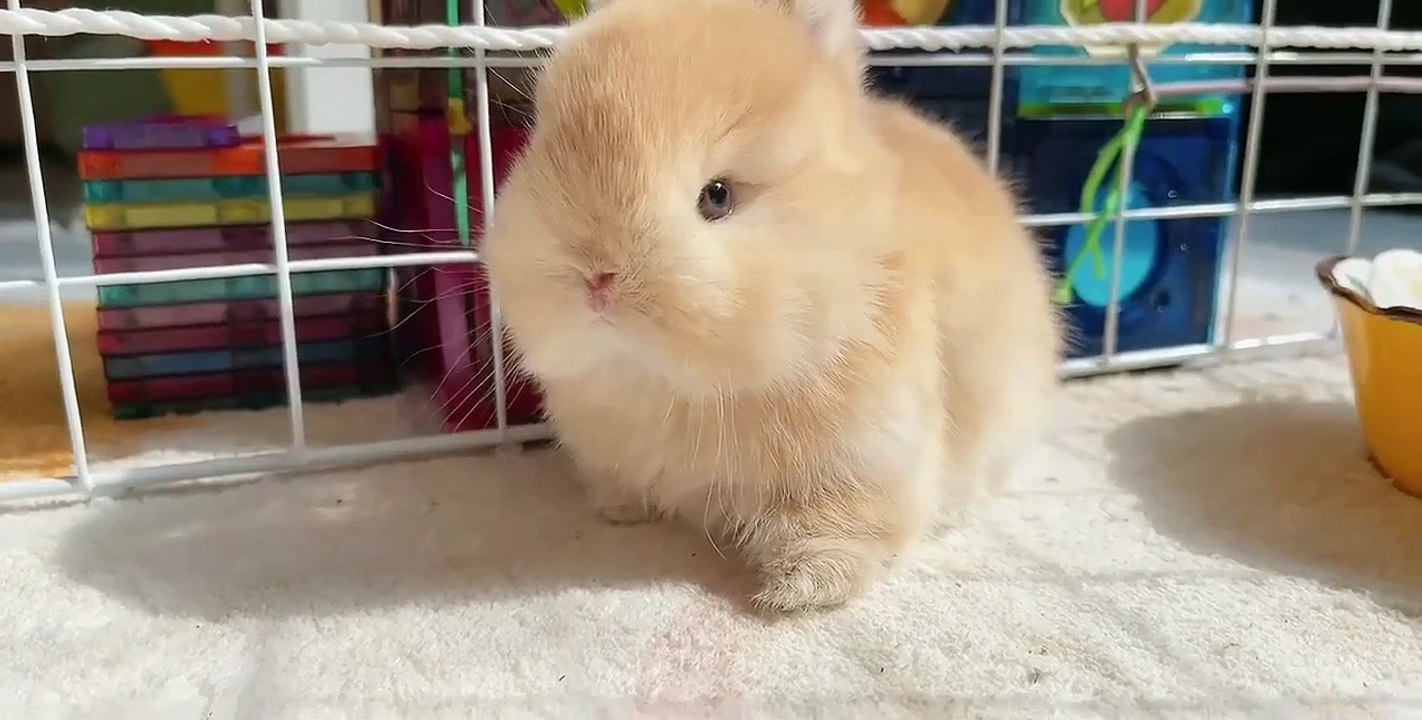 Lana Steven The Artists Hands