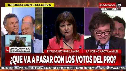 Leopoldo Moreau:  "Milei odia a la democracia"
