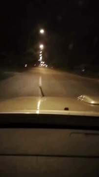 Un serpent fait du stop sur un véhicule en mouvement