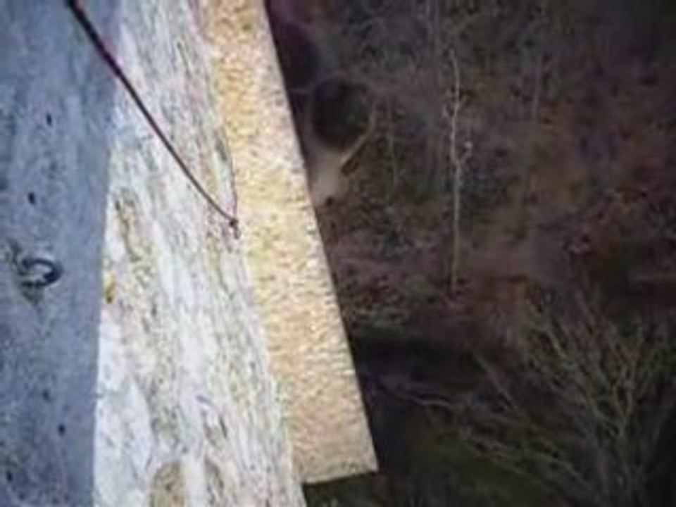 BSPP/BMPM (saut pendulaire)