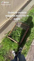 Cuy causa sensación al cortar pasto como una máquina profesional