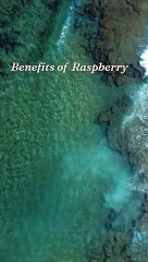Discover the Amazing Health Benefits of Raspberry 🍇