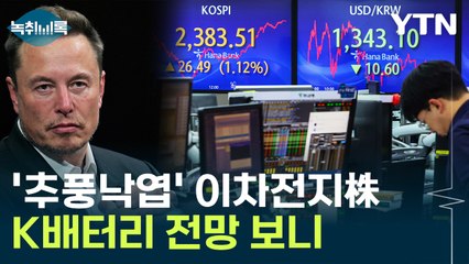 "고평가됐다" 폭락한 이차전지株...中에 밀린 전기차? [Y녹취록] / YTN