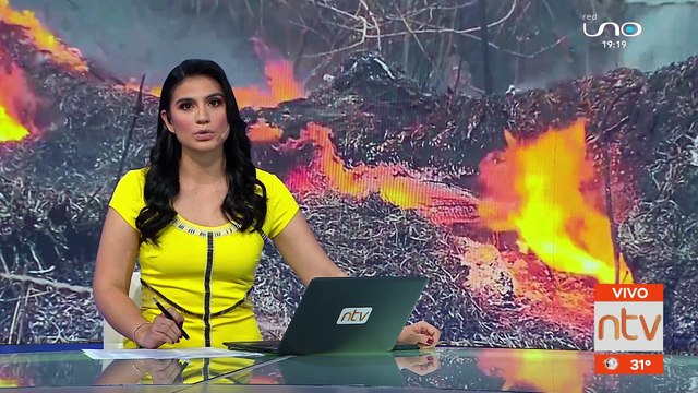 Hallan animales carbonizados a consecuencia de los incendios forestales