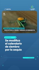 Se modifica el calendario de siembra por la sequía