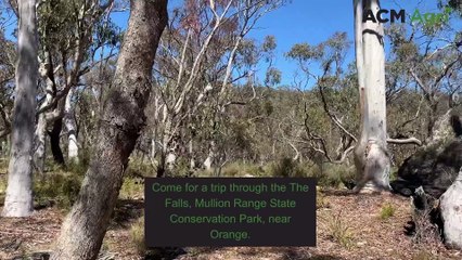 The Falls in the Mullion Range State Conservation Park