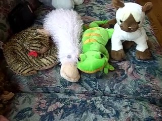 licorice34 - Webkinz!!! 2!