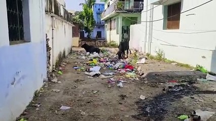 Streets have been carved in Jhalawar for one and a half years
