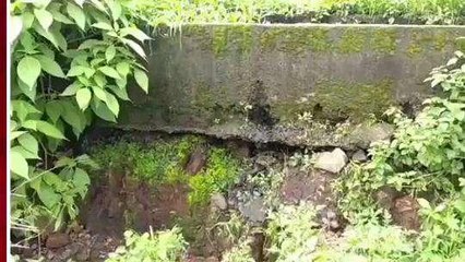 छिंदवाड़ा: क्षतिग्रस्त पुलिया की नहीं कराई जा रही मरम्मत, हादसे का डर