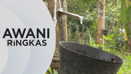 AWANI Ringkas: Malaysia kaji klon getah secara genomik