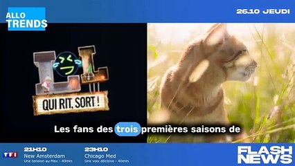 Les éclats de rire en streaming : découvrez comment visionner gratuitement la dernière saison disponible en octobre !