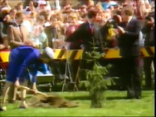 The Best of Rory Bremner (Classic British Comedy ) 1989