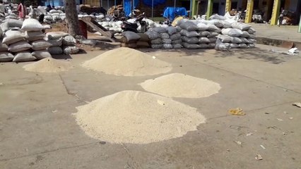 इस बार तिल्ली के भावों में तेजी, ये मिल रहे है किसानों को भाव