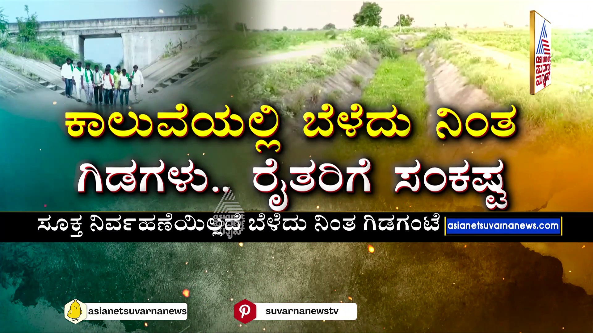 ಕಾಲುವೆಯಲ್ಲಿ ಬೆಳೆದು ನಿಂತ ಗಿಡಗಳು.. ರೈತರಿಗೆ ಸಂಕಷ್ಟ: ಯಾದಗಿರಿ ಅನ್ನದಾತ ಕಂಗಾಲು