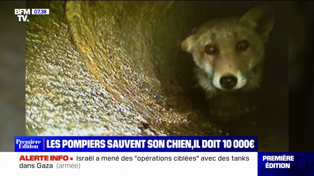 Les pompiers sauvent son chien dans une canalisation, cet homme reçoit une facture de plus de 9000 euros
