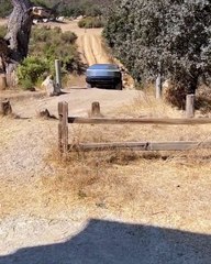 فيديو يرصد تسلا سايبرترك وهي تكافح على أحد الطرق الوعرة