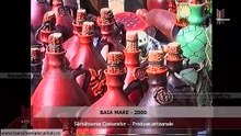 BAIA MARE (2000) - Sărbătoarea Castanelor -  Produse artizanale