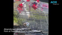 Trolleys abandoned in Warrnambool - October 26, 2023 - The Standard