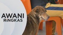 AWANI Ringkas: 15 kematian akibat Rabies di Sarawak