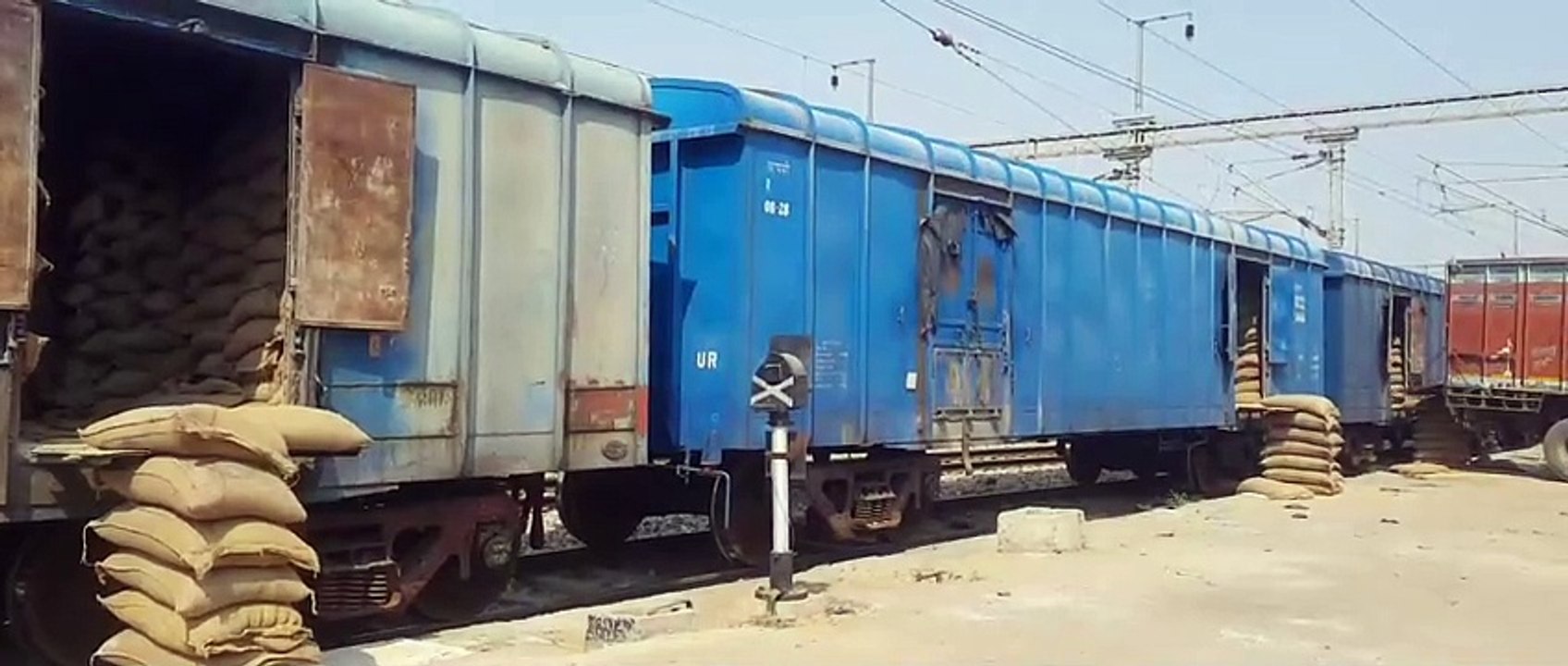राजस्थानी बाजरा की दक्षिण भारत में मांग, माल ढु...