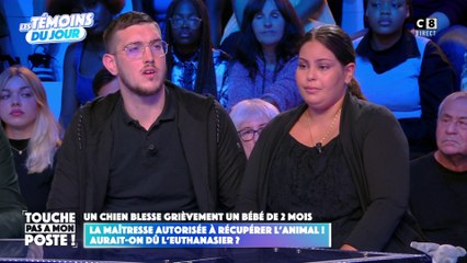 Un chien blesse grièvement un bébé de 2 mois : les parents s'expriment dans TPMP