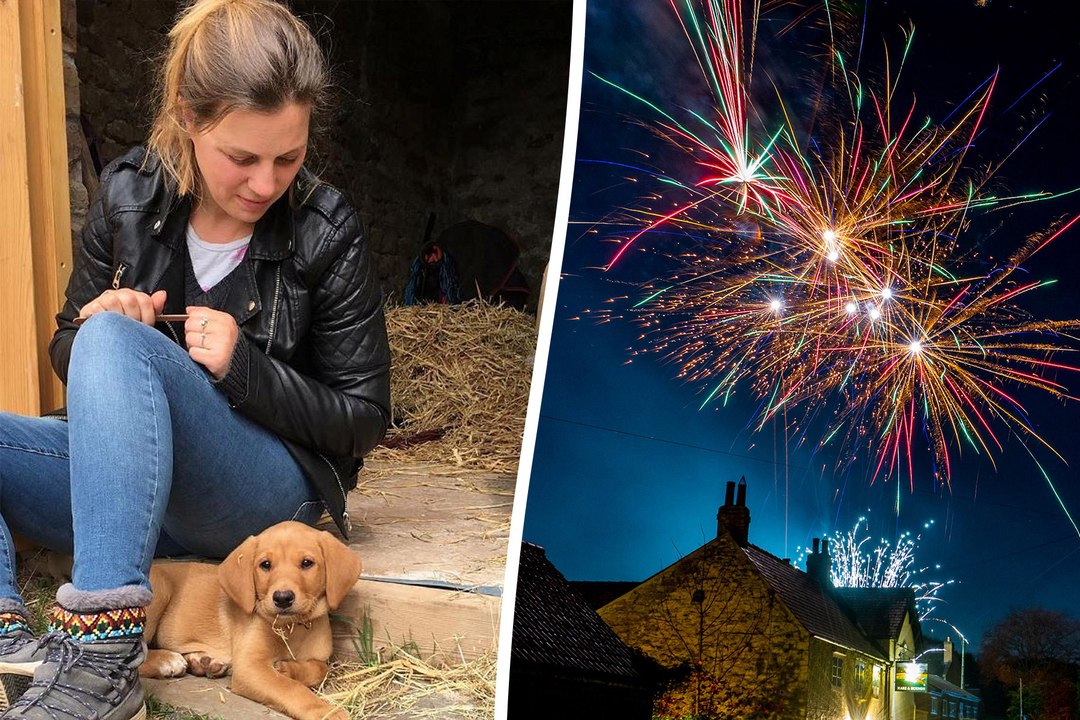Prep dogs for fireworks by playing throwing parties and playing drum and bass: expert