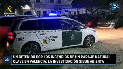Un detenido por los incendios de un paraje natural clave en Valencia la investigación sigue abierta