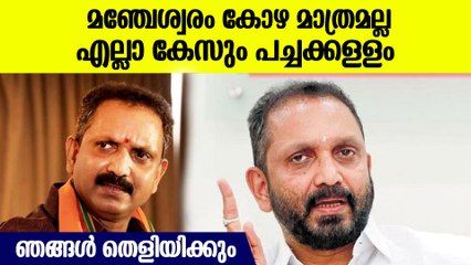 മഞ്ചേശ്വരം, കൊടകര കേസുകള്‍ പച്ചക്കള്ളം; ഞങ്ങള്‍ തെളിയിക്കുമെന്ന് സുരേന്ദ്രന്‍