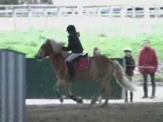 Tam-Tam & moi o concour 16 mars 2008