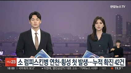소 럼피스킨병 연천·횡성 첫 발생…누적 확진 42건