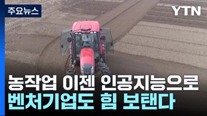 [녹색] 농작업 이젠 인공지능으로...벤처기업도 힘 보탠다 / YTN