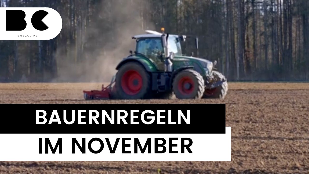 Das sagen die Bauernregeln im November