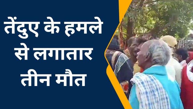 बहराइच: तेंदुए के हमले से महिला की हुई मौत, इलाके में दहशत का माहौल