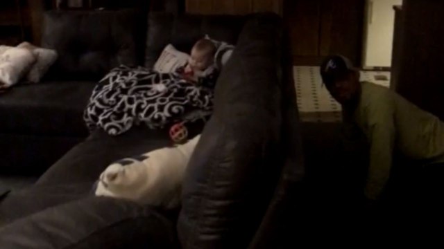 Mischievous dad startles toddler daughter with a sneaky jump scare prank