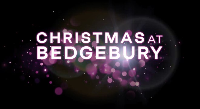 Christmas at Bedgebury 2023 will magically light up the forest like never before