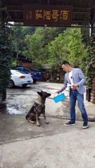 Dog goes to buy some food