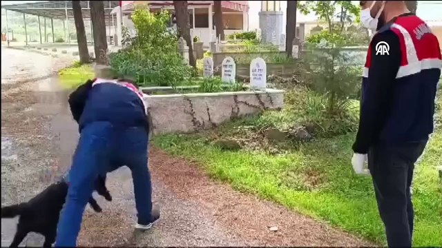 Cela m'a fait dire d'abandonner ! Un trafiquant de drogue détenu a caché de la drogue dans la tombe de son grand-père