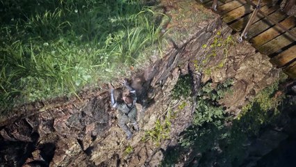 METAL GEAR SOLID Δ SNAKE EATER - First In-Engine Look - Xbox Partner Preview