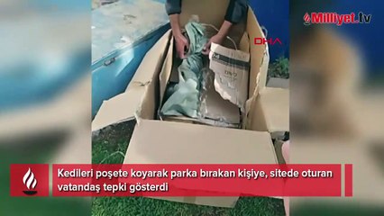 İsyan ettiren olay! Kedileri poşete koydu, parka bıraktı
