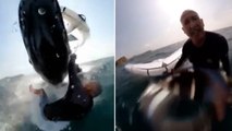 Watch: Kite surfer collides with whale off Australian coast