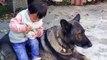 Wow kid can siting on dog so smart #dogs #animals #pest
