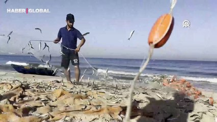 İsrail saldırıları sürerken Filistinli balıkçılar, ölümü düşünmeden avlanıyor