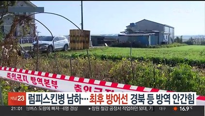 럼피스킨병 남하…'최후 방어선' 경북 등 방역 안간힘